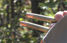 bullets